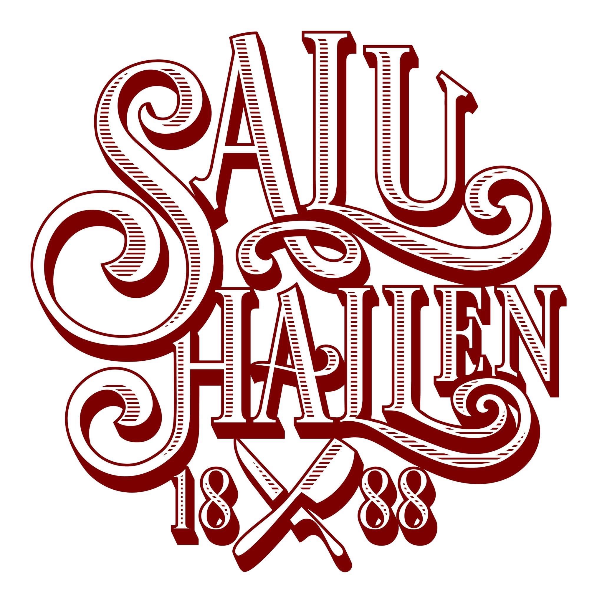 Logotyp för SALUHALLEN